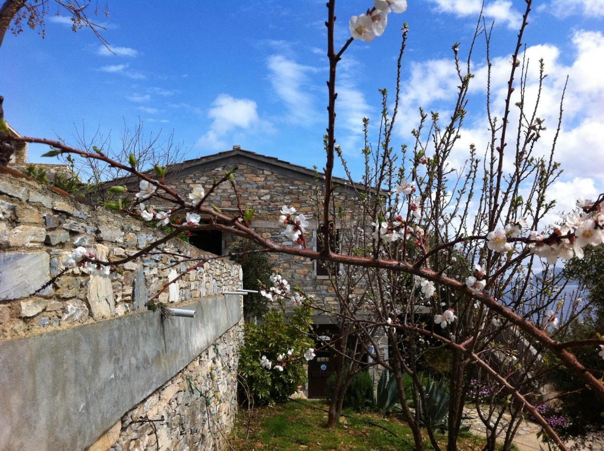 Pyrgos Traditional Village Ágios Kírykos Zewnętrze zdjęcie