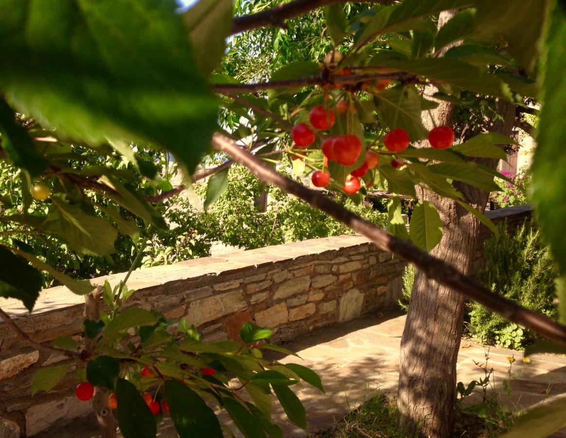 Pyrgos Traditional Village Ágios Kírykos Zewnętrze zdjęcie